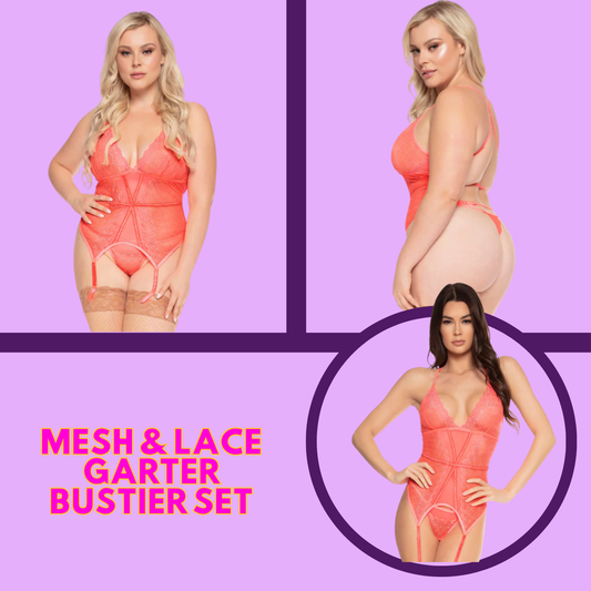 Mesh & Lace Garter Bustier Set